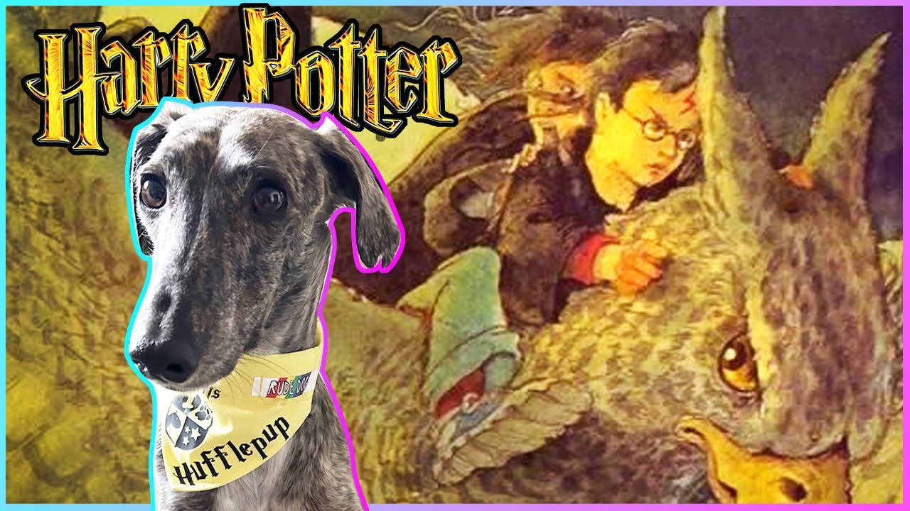 Movie Watcher Reads Harry Potter For the First Time! - Prisoner of Azkaban Chapters 16 & 17!