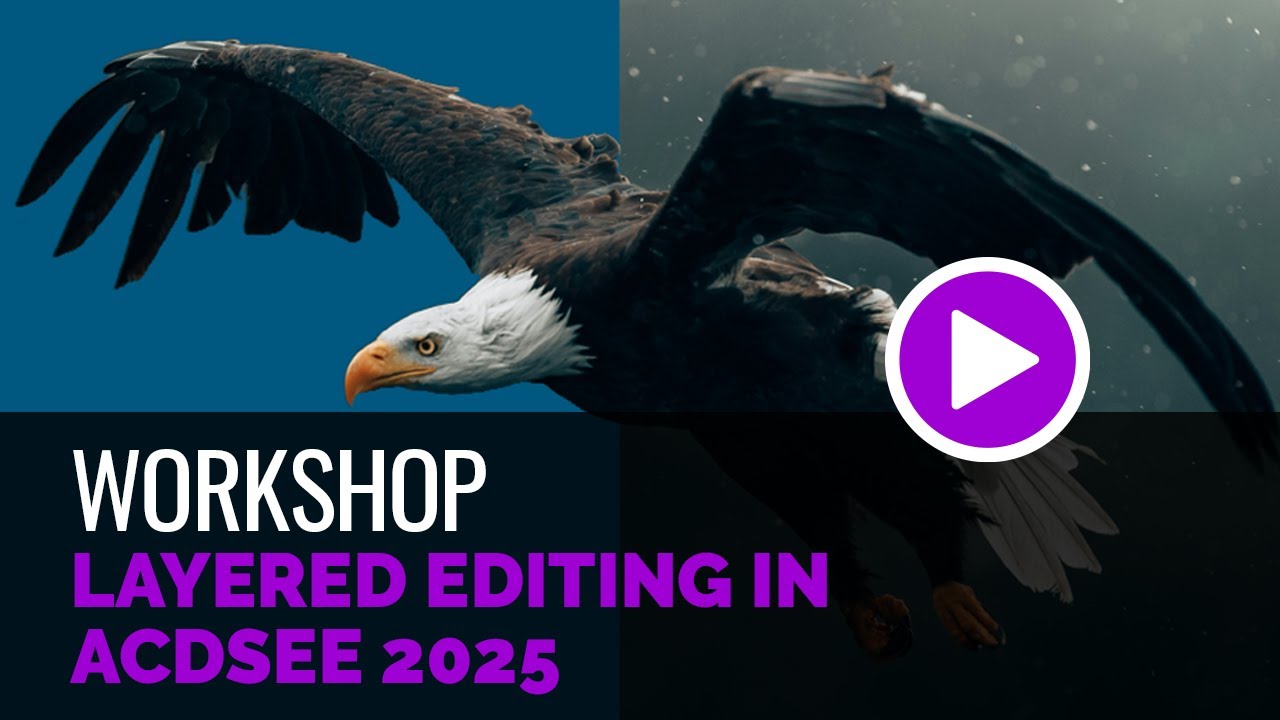 Layered Editing in ACDSee 2025