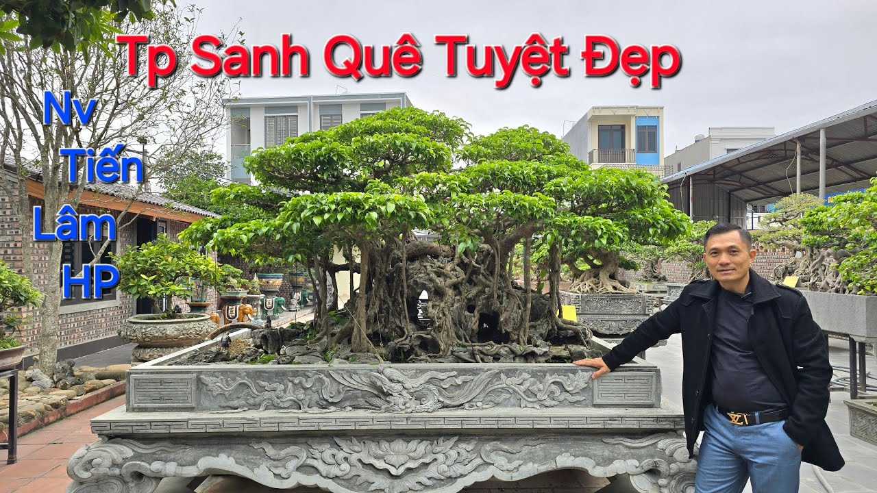 ẤN TƯỢNG với TP SANH QUÊ TUYỆT ĐẸP của NV TIẾN LÂM - Kiến An - HP .