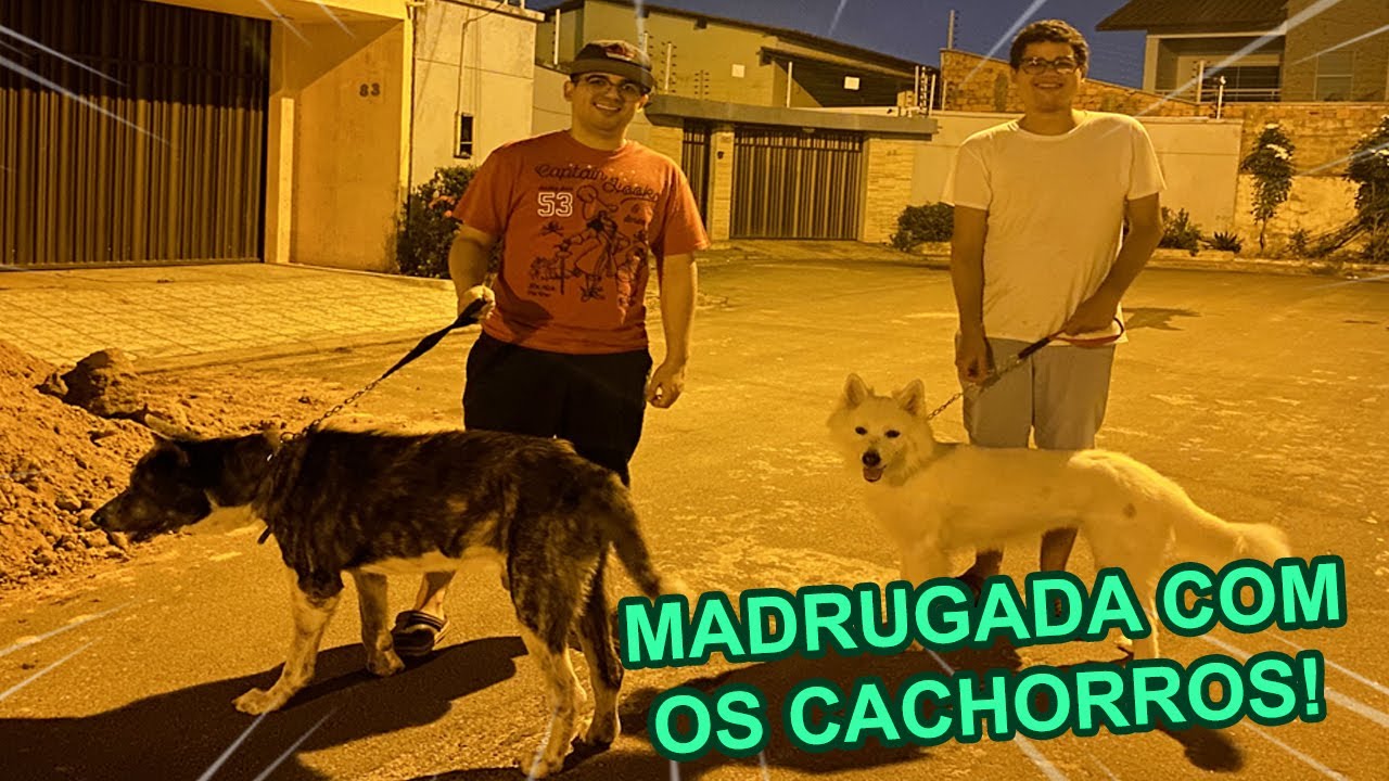 PASSEAMOS COM OS CACHORROS DE MADRUGADA NA RUA E OLHA O QUE ACONTECEU!!