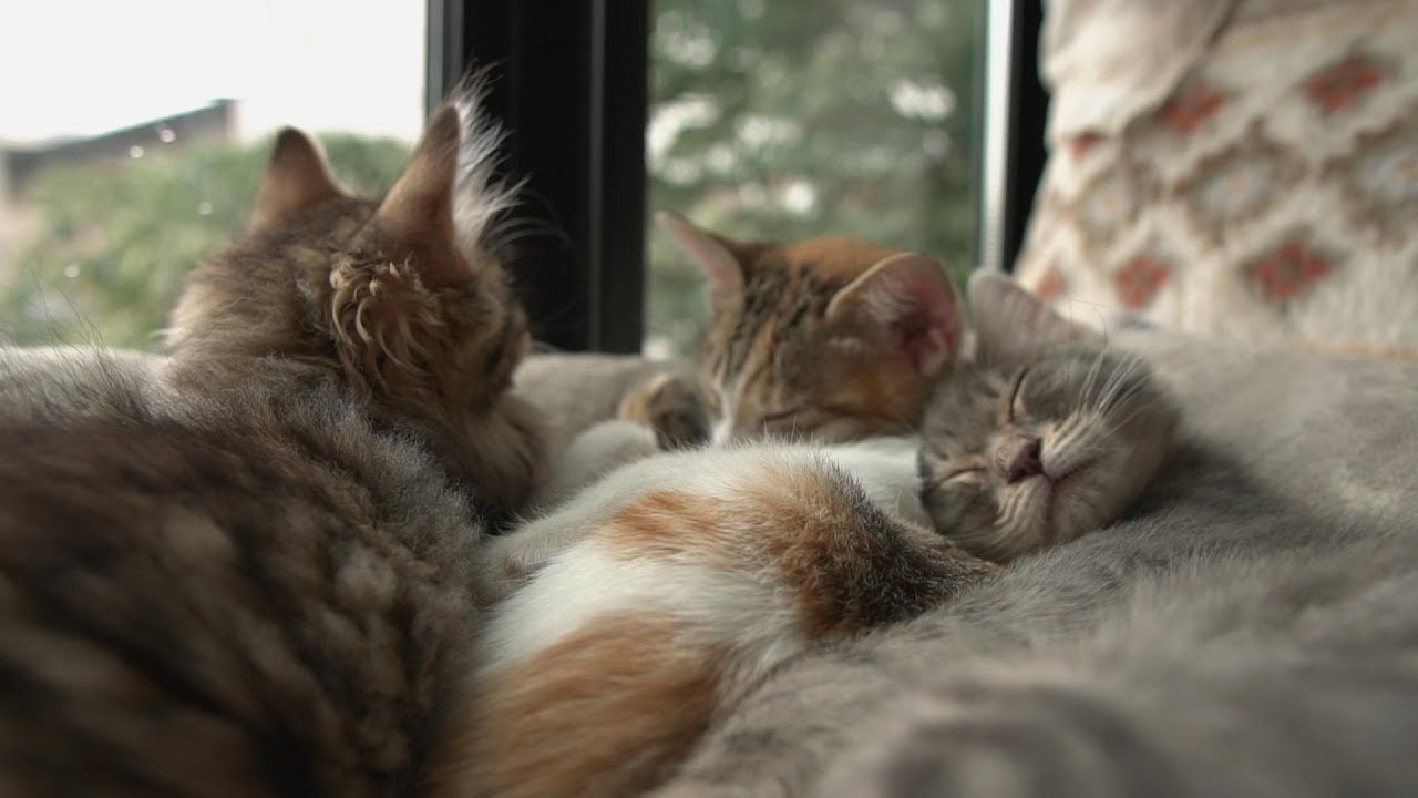 みんなで過ごす最後の日