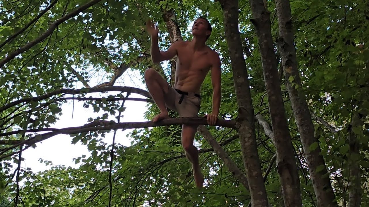 Tree-Playground Warmup