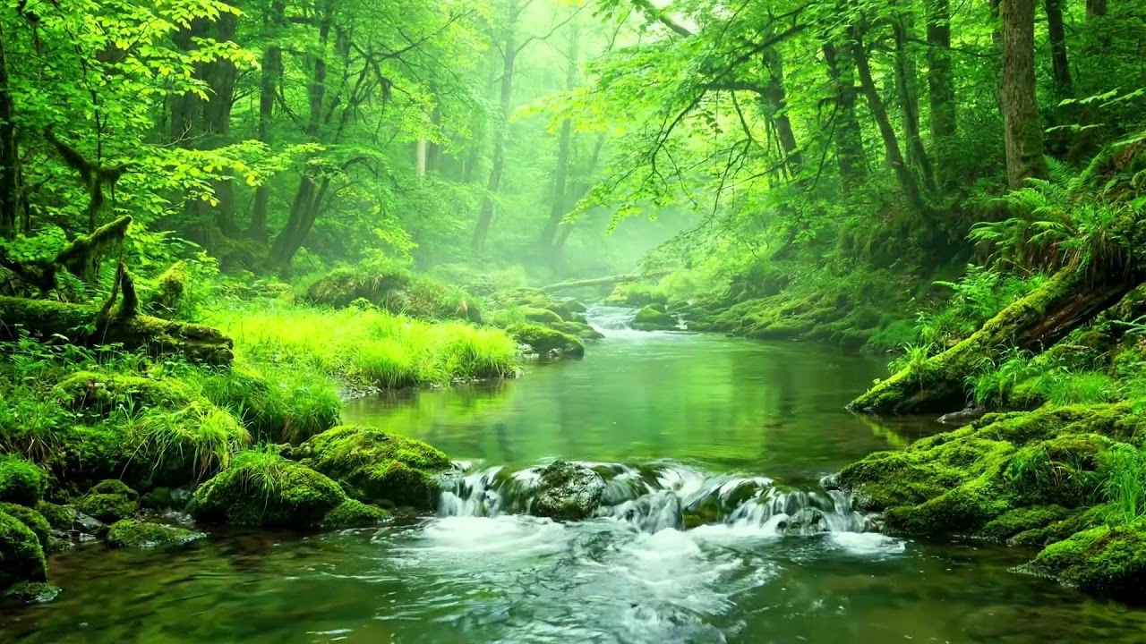 Wonderful Nature Ambience, Stream Flow and Chirping Birds, Relaxing White Noise, Peaceful ASMR