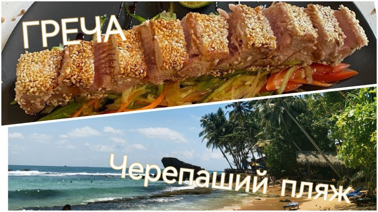 Шри-Ланка 2023, Унаватуна. Черепаший пляж, кафе Греча