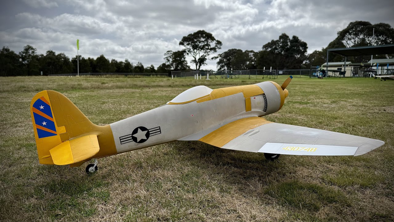 Tail Heavy Plane Print Sea Fury 3D Printed RC Maiden
