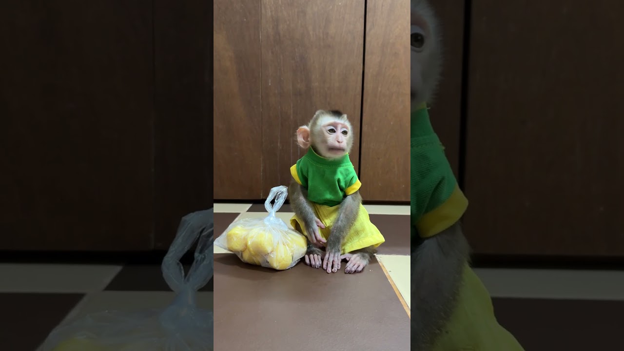 Smart Max Waiting Food Like Perfect Man,