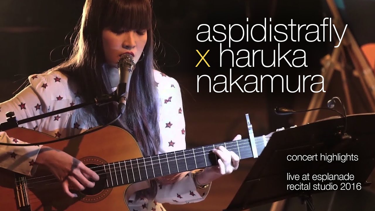 The Show Goes On…line: ASPIDISTRAFLY × haruka nakamura (2016) | Offstage