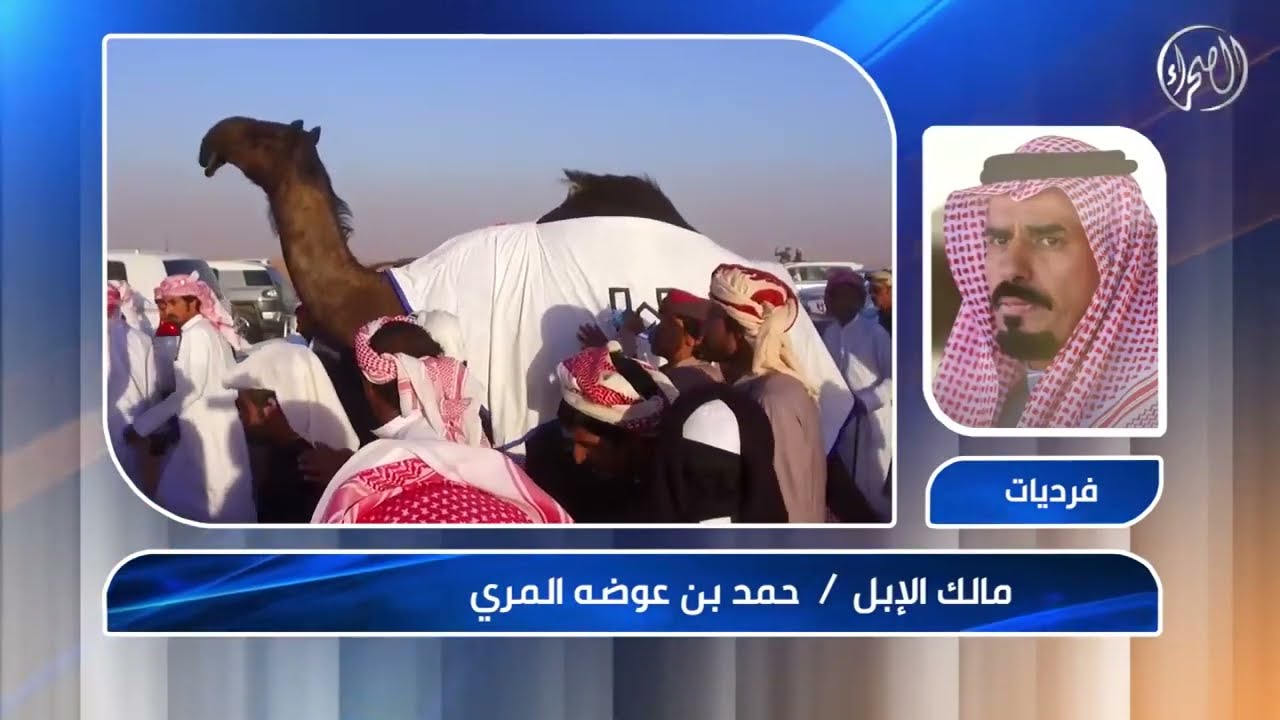 فرديات هامات الجزيرة مالك الإبل  حمد بن عوضة بن لبدان  - مهرجان الملك عبدالعزيز للإبل6