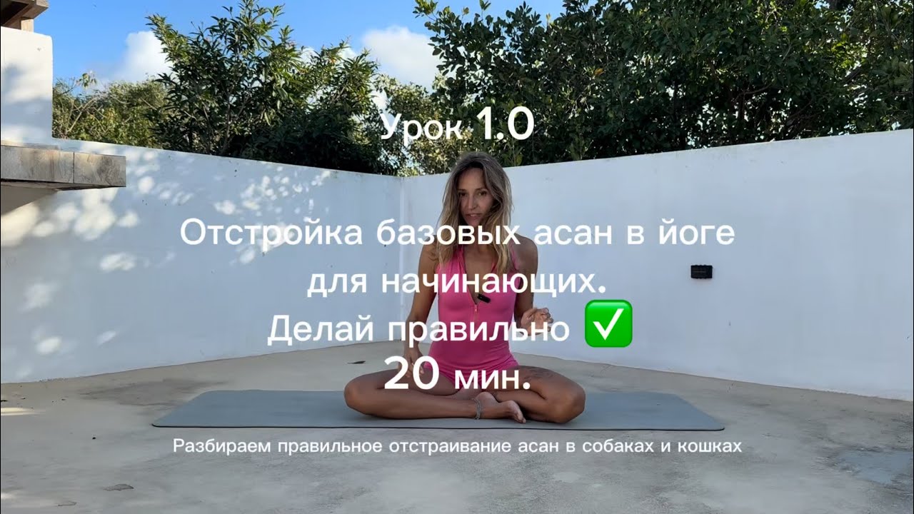 Йога для начинающих. Отстройка асан первый уровень. #йогадлявсех 