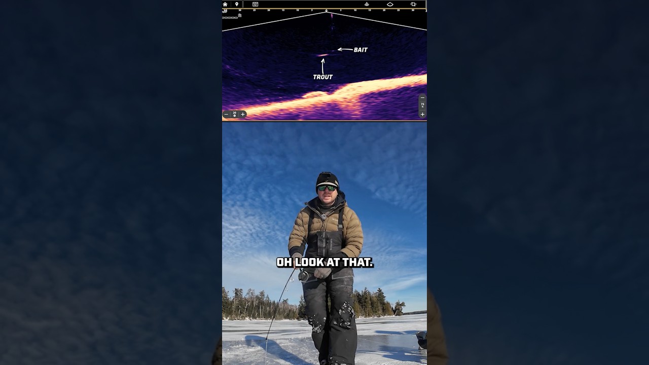 MEGA Live 2 🤝 Подлёдная рыбалка 🤘 #Humminbird