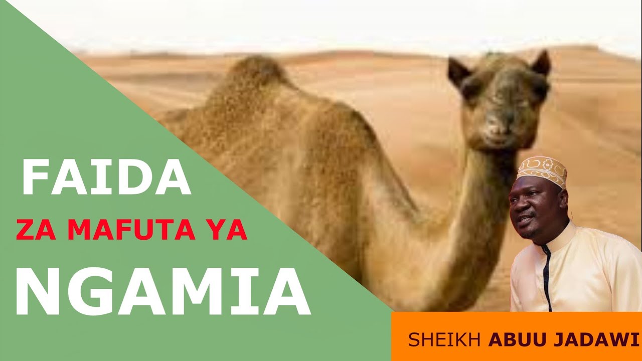 MAFUTA YA NGAMIA NA FAIDA ZAKE /SHEIKH ABUU JADAWI