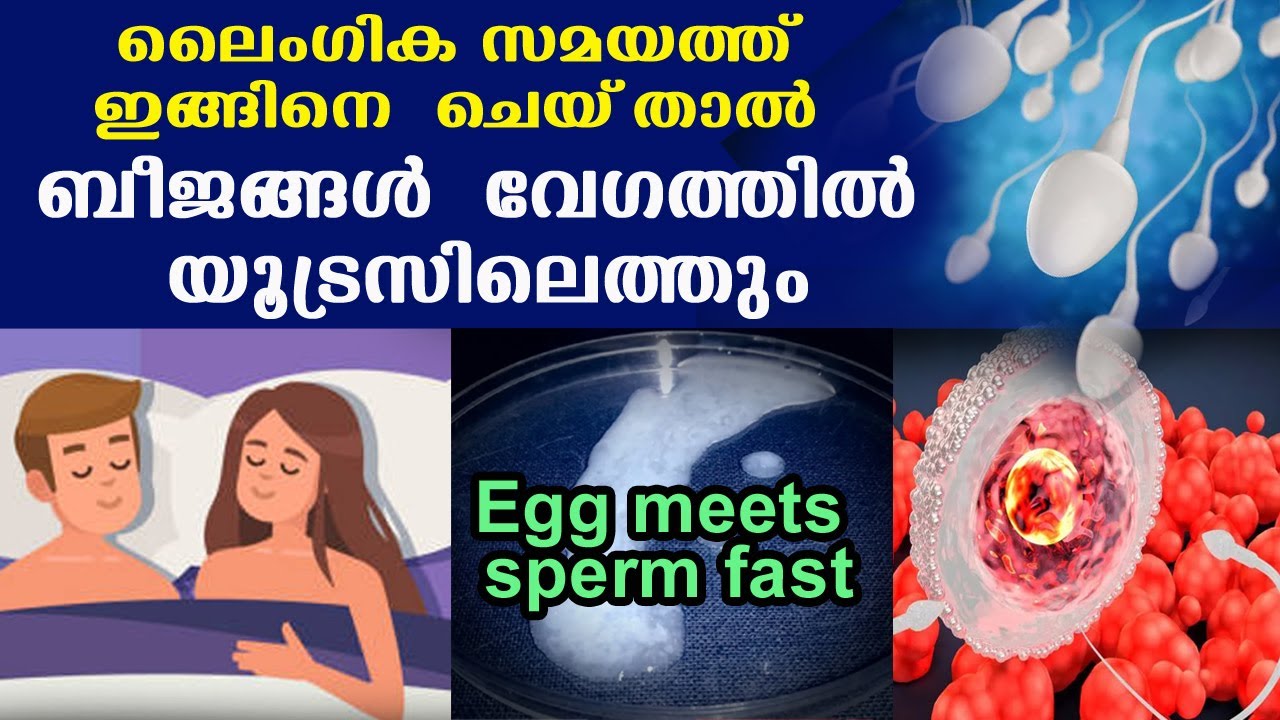 ലൈംഗിക സമയത്ത് ഇങ്ങിനെ ചെയ്‌താല്‍ ബീജങ്ങള്‍ എളുപ്പം യൂട്രസിലെത്തും | YOUR EGG and $PERM MEET FAST