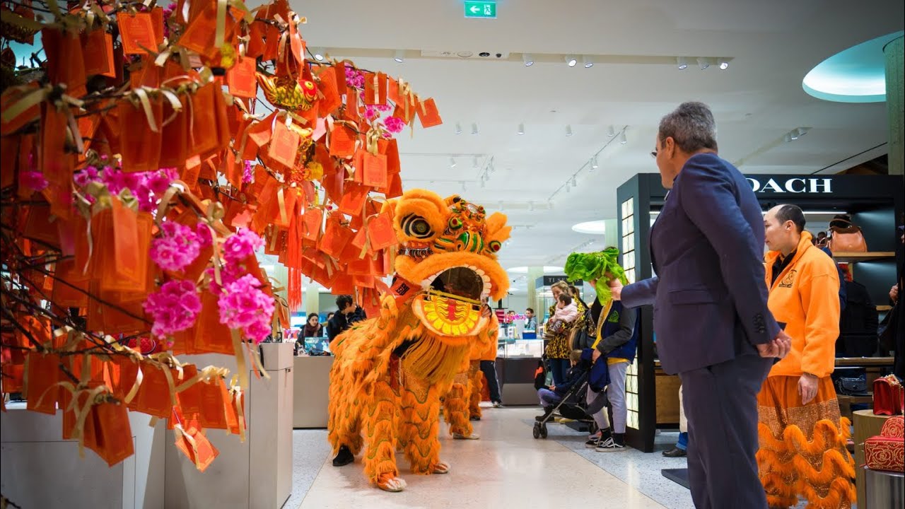 Rotterdam Chinese New Year 2019 | Lion Dance