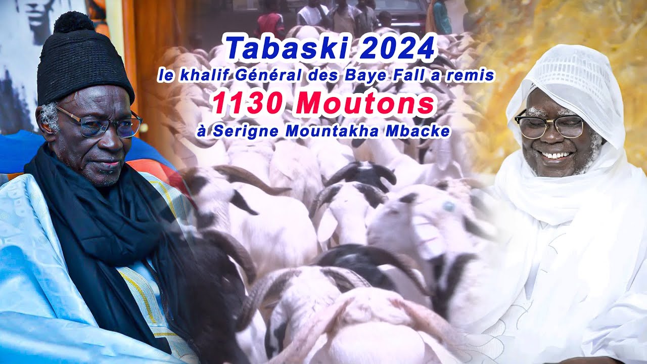Tabaski 2024 : le khalif Général des Bayes Fall a remis 1130 moutons à S. Mountakha
