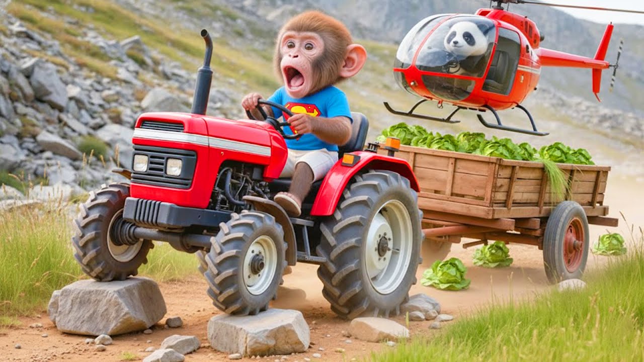 🐒💨🌱 Monkey MiLo’s Harvest Turns Risky, Panda Flies in with Helicopter Rescue! 🐼🚁 | COCO MONKEY LIFE
