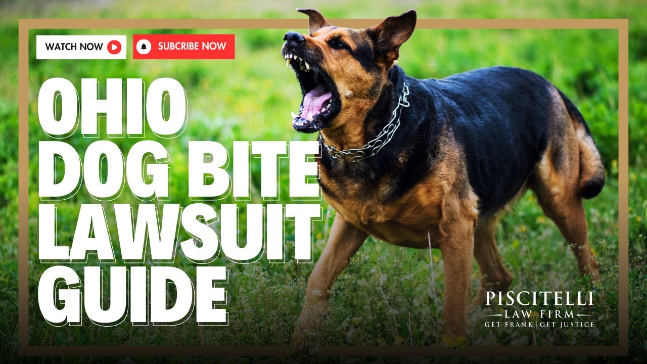 Ohio Dog Bite Lawyer Explains Process of an Animal Attack Lawsuit