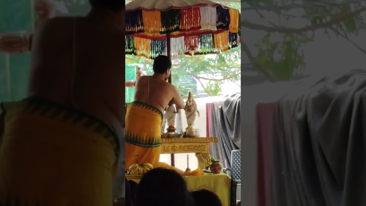 Vasanthotsavam #shortvideo #shorts #vasanthotsavam