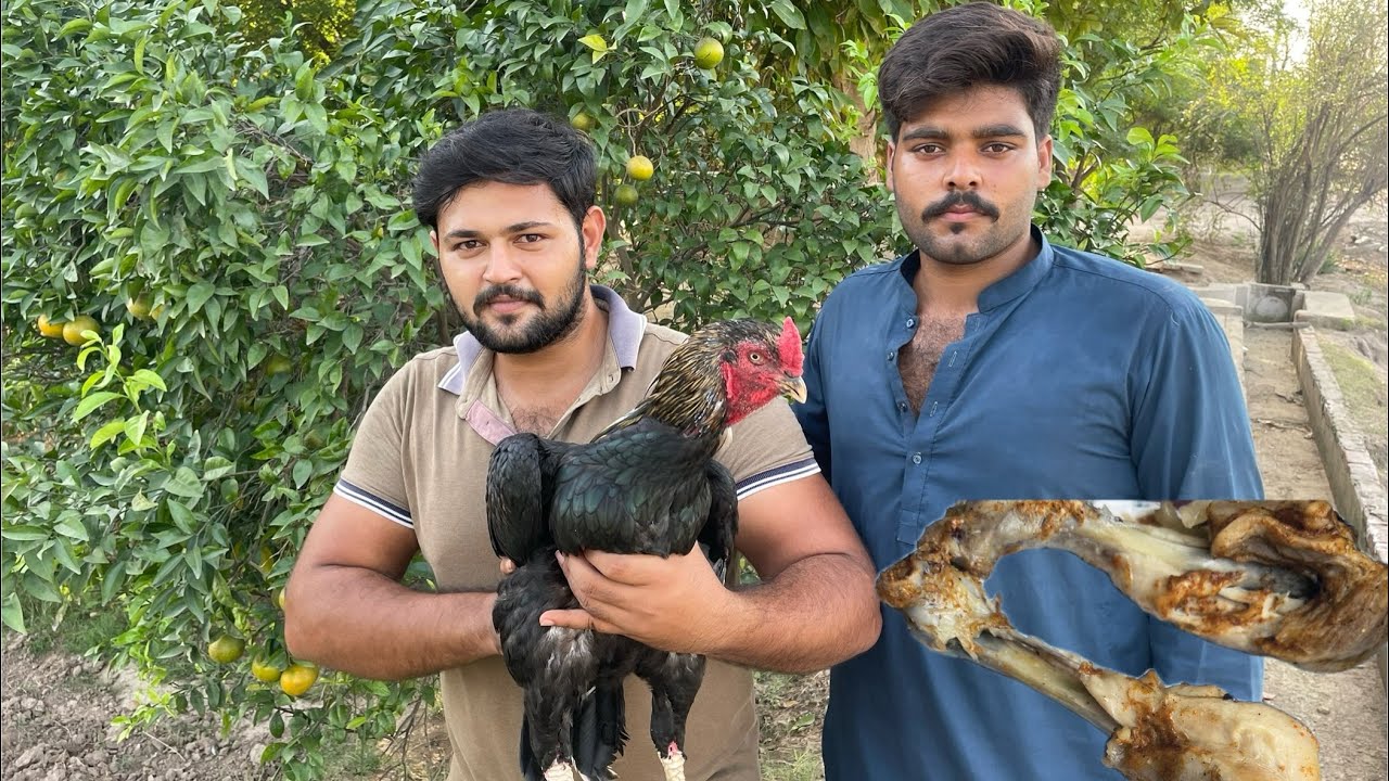 Steam chicken recipe and make Qahwa 