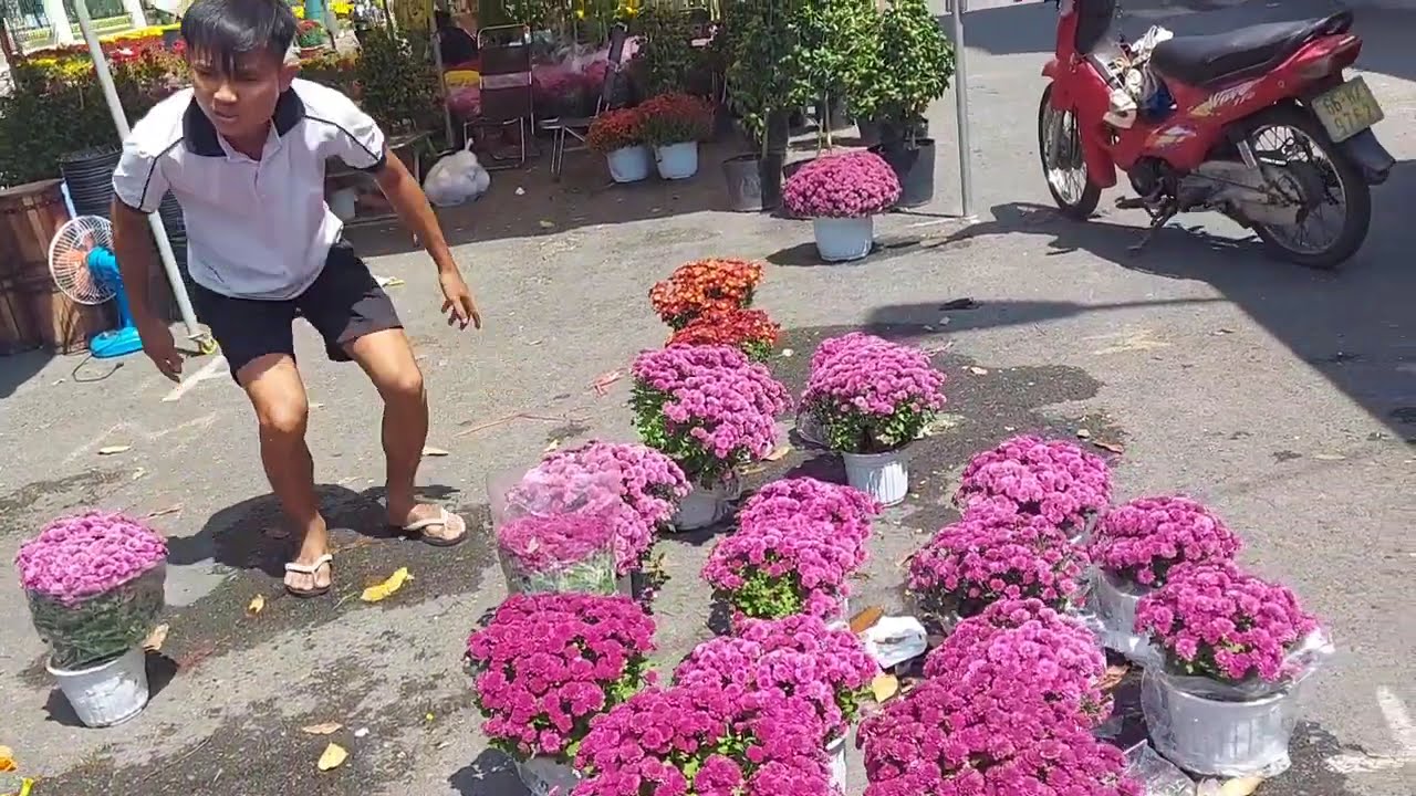 Chợ Hoa Cao Lãnh Ngày 29 Tết Sẽ Như Thế Nào?