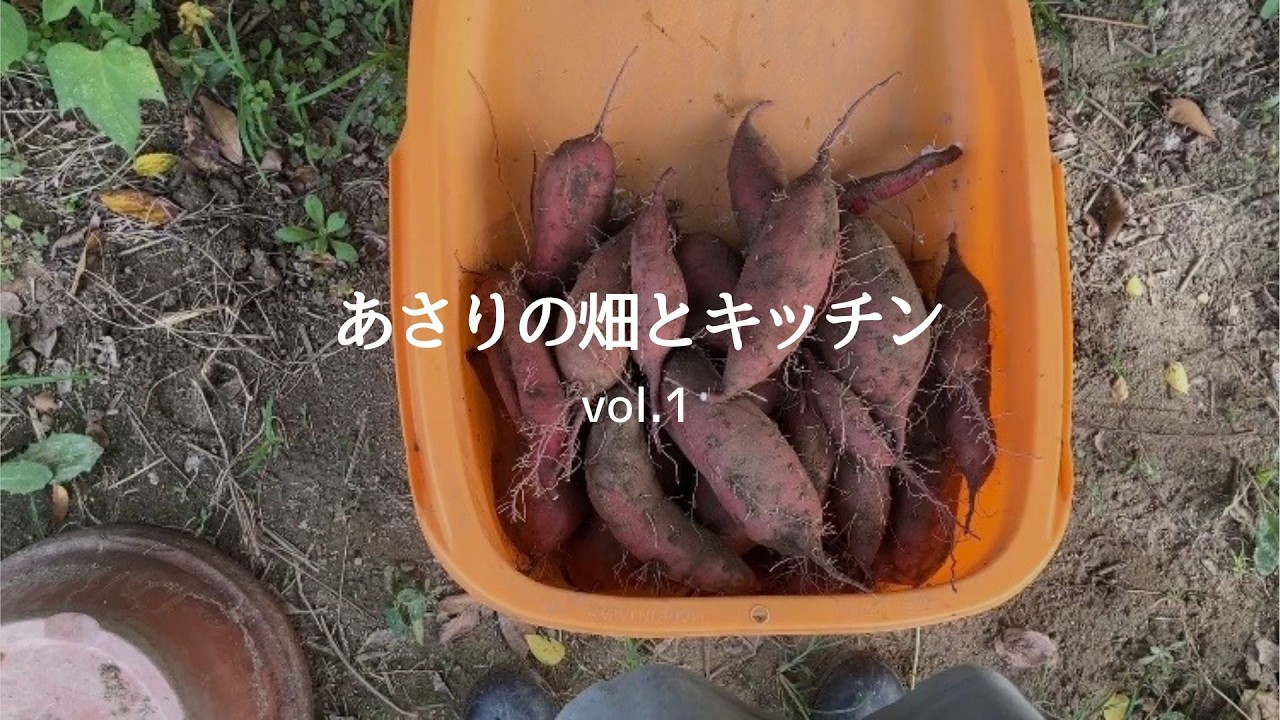 【田舎暮らし】秋の恵みさつまいもの収穫とスイーツ作り#田舎 #自給自足 #スイーツ 