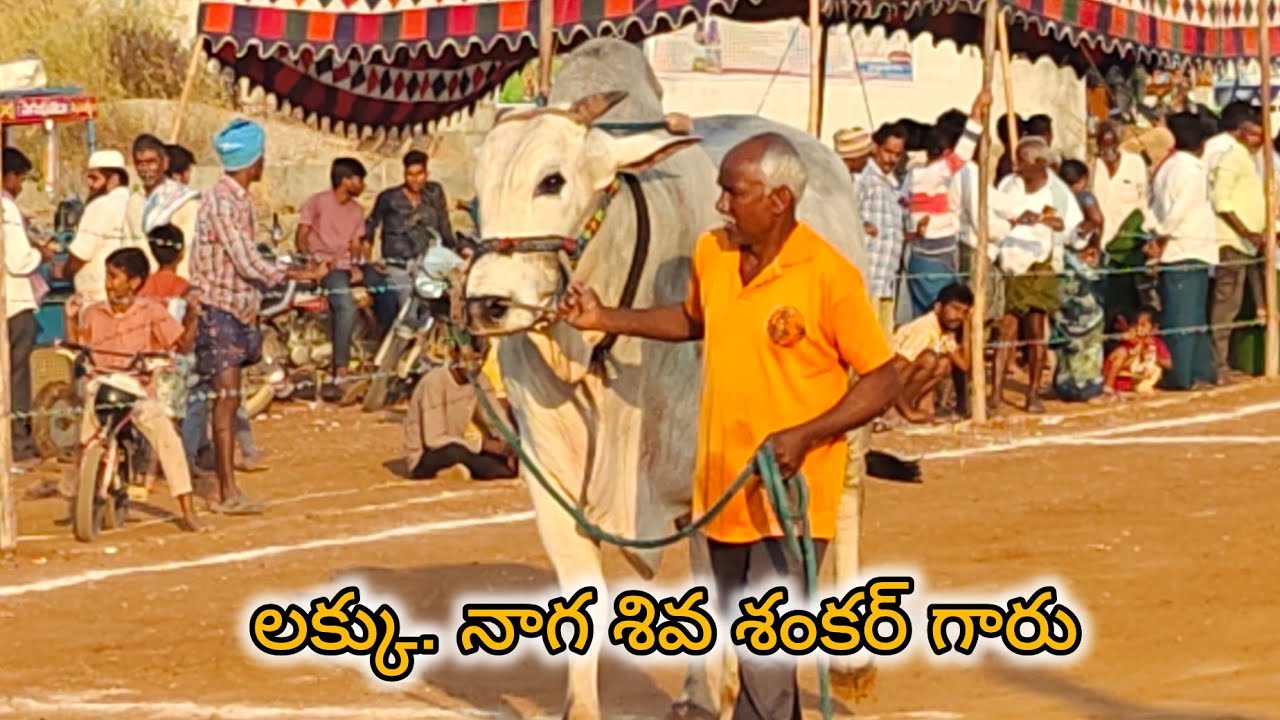 చింత్రియాల సీనియర్స్ 3వ