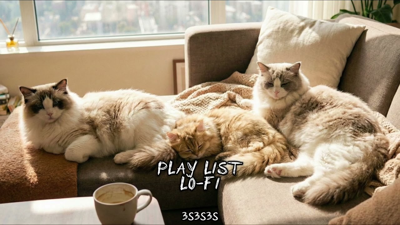 [Jazz Lofi] 삼냥이의 나른한 그루브 하우스 🐾 | Chill & Groovy Cat Beats