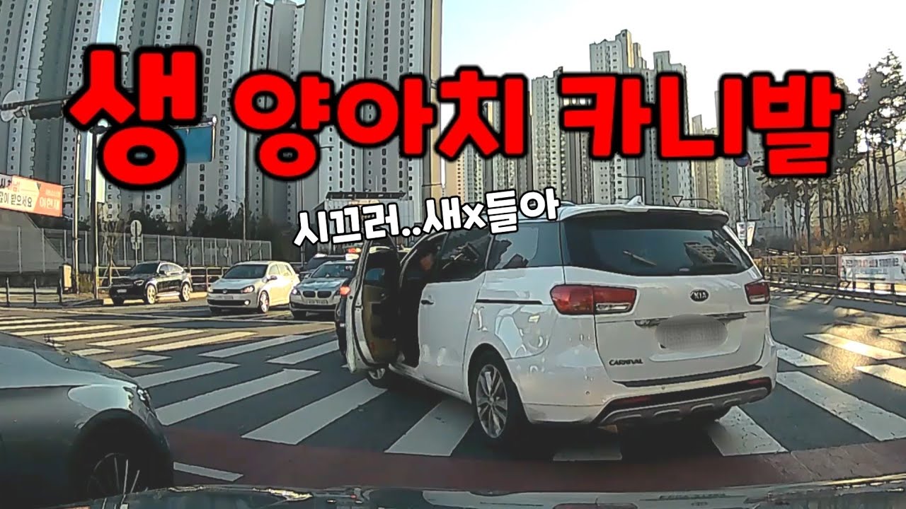 욕참기 불가능 카니발......도참시 블랙박스 : 2025 최신블박영상