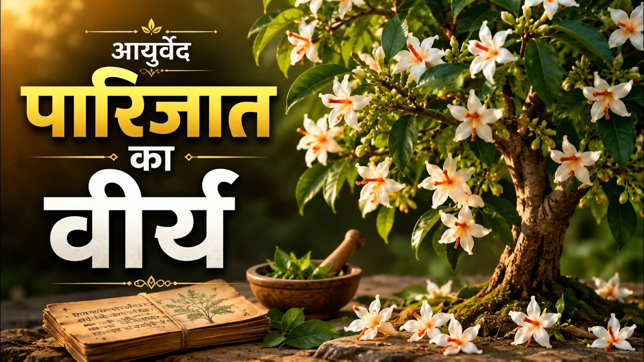 पारिजात का उष्ण वीर्य – आयुर्वेद का छुपा हुआ रहस्य