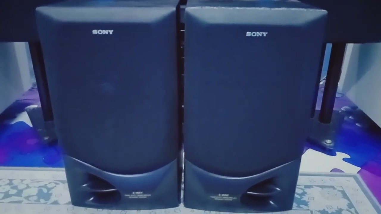 Sony Hifi Big Speaker SS-LB300