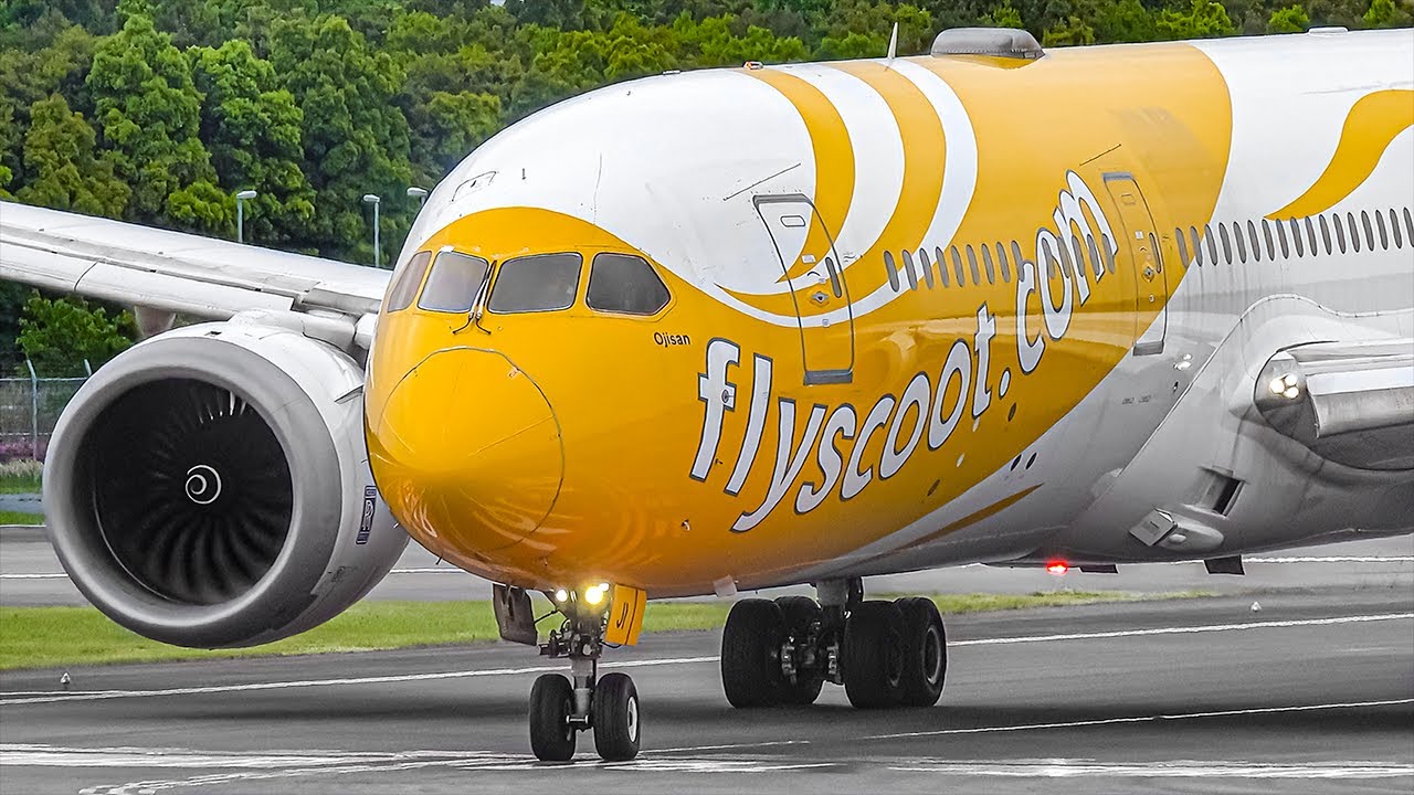 30 VERY CLOSE UP LANDINGS at TOKYO NARITA | Tokyo Narita Airport Plane Spotting [NRT/RJAA]