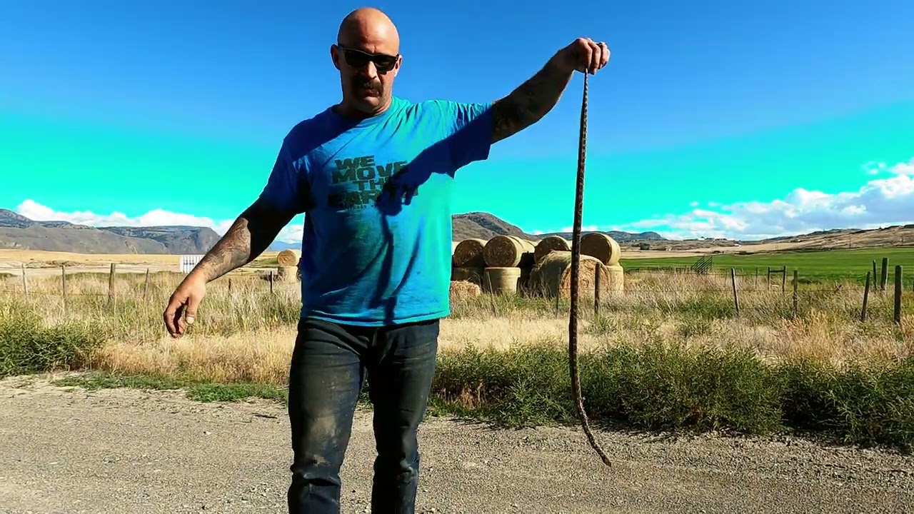 Speedbump!