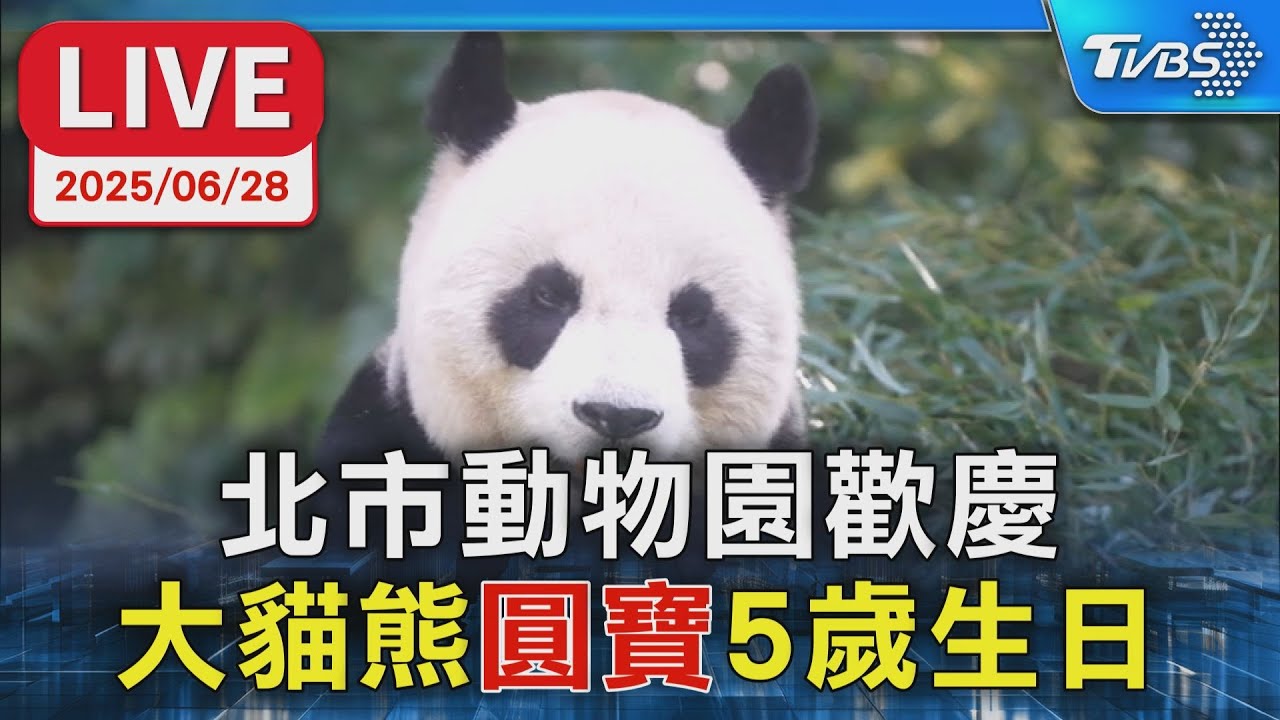 【LIVE】北市動物園歡慶 大貓熊