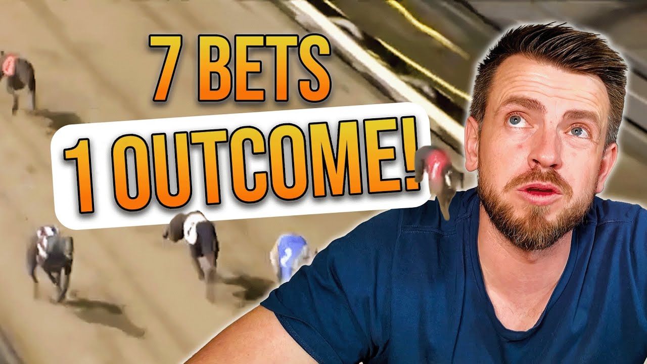 THIS Is What Happens When I Bet On BIG PRICE DOGS!