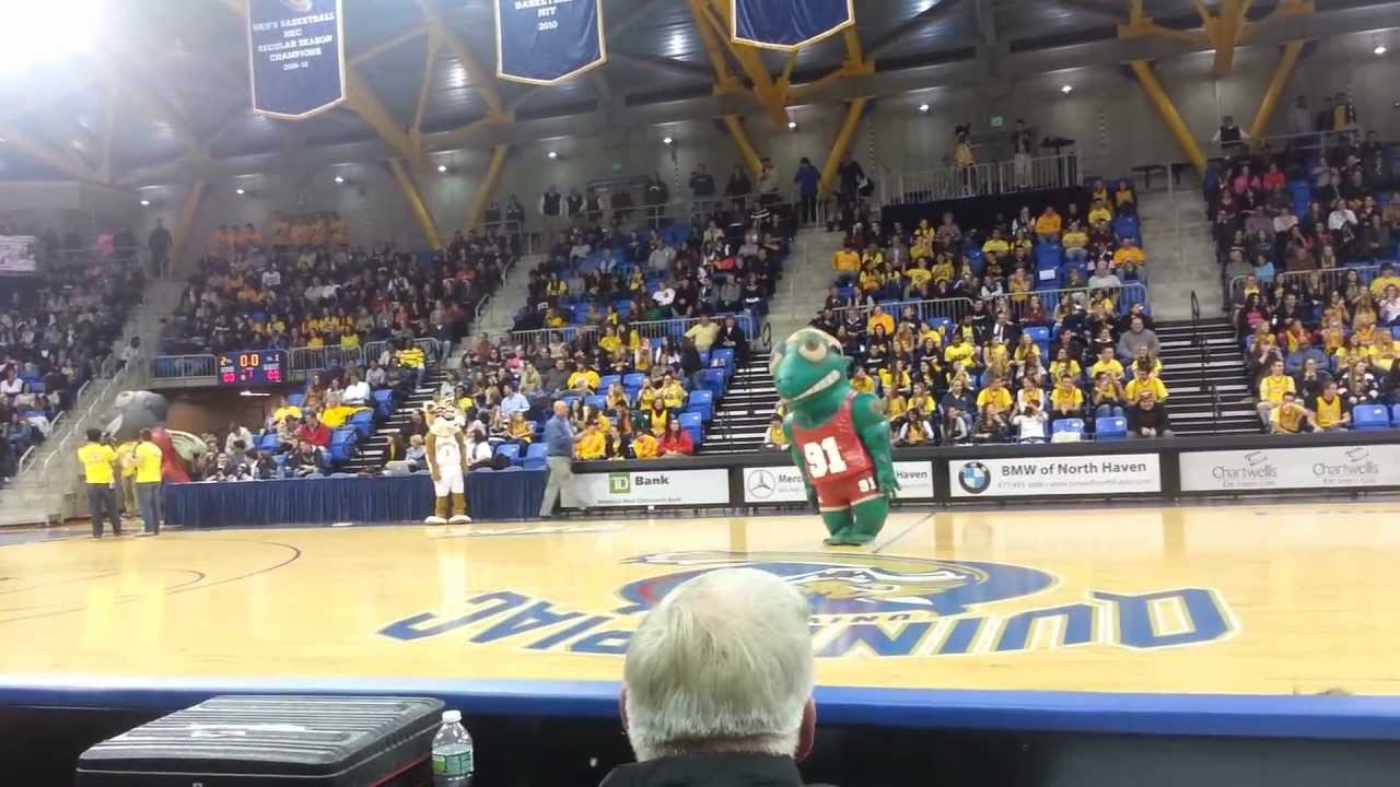Zooperstars at QU 2012 Bobcat Madness