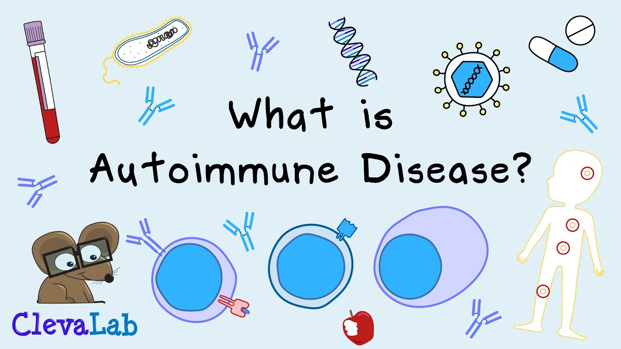 What are Autoimmune Diseases and How Do They Develop?