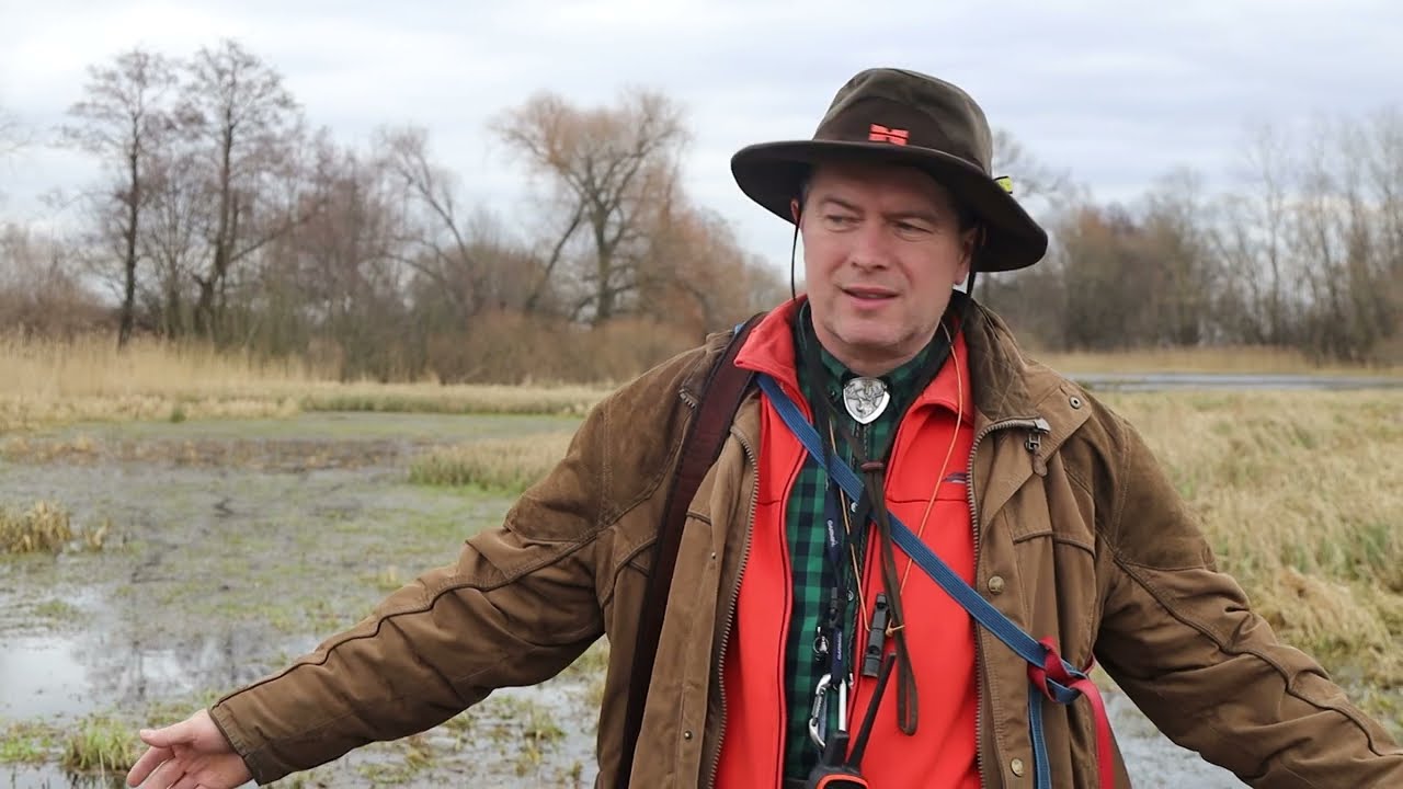 Polowanie z podchodu: Bóbr, Bażant i Gończy Polski. Hunting Beaver, Pheasant and Polish Hunting Dog.