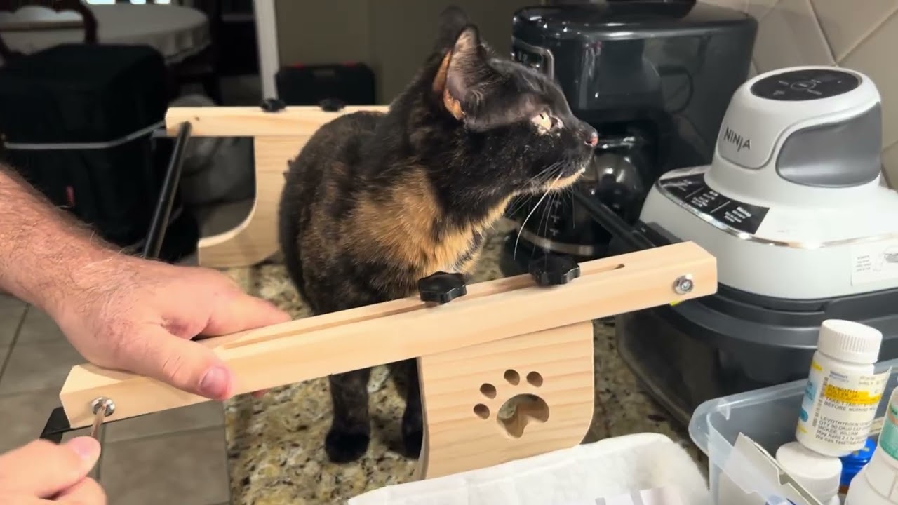 AMOSIJOY Cat Sill Window Perch Install: DIY