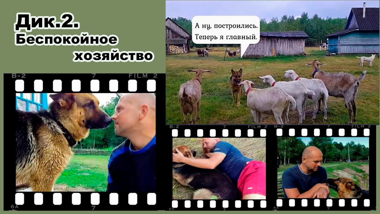 Дик.2.Беспокойное хозяйство. Кто теперь главный? Цикл 