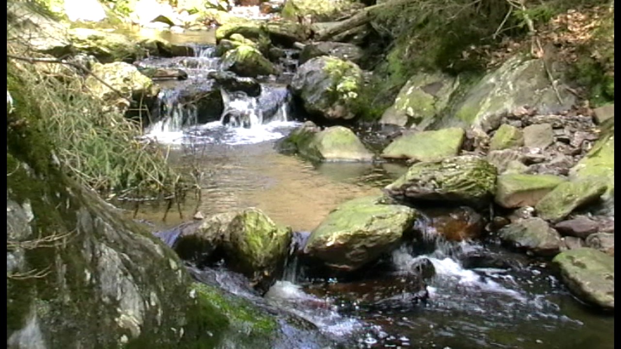 Malmedy: langs de trôs marets