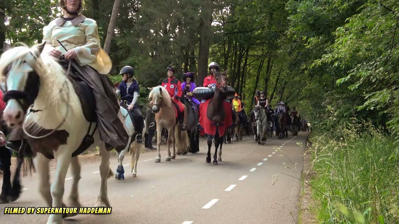 Laatste keer intocht Eper Paardenvierdaagse door Epe Centrum op Vrijdagavond 7 juni 2024 (4k)