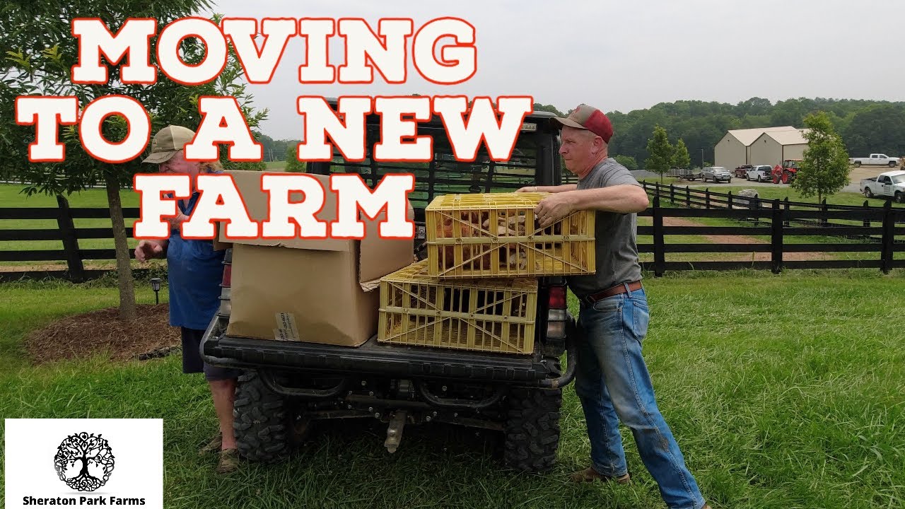 OUR Secret to Starting a New Farm & Helping Others