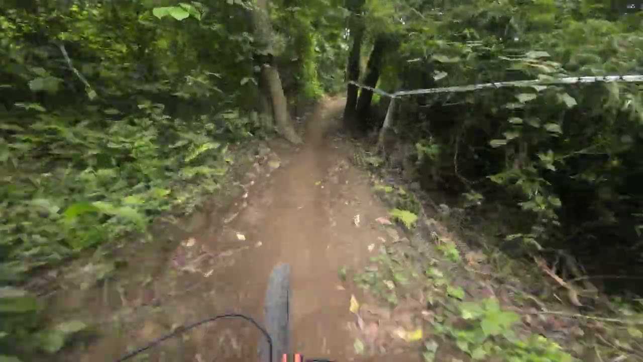 The View seeding run ⚠️