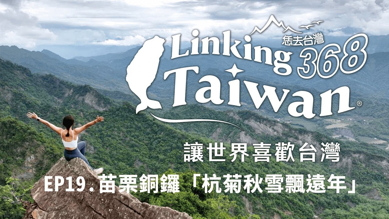 【Linking368Taiwan】EP19.苗栗銅鑼「杭菊秋雪飄遠年，山中逸境銅鑼鄉」│ Vidol