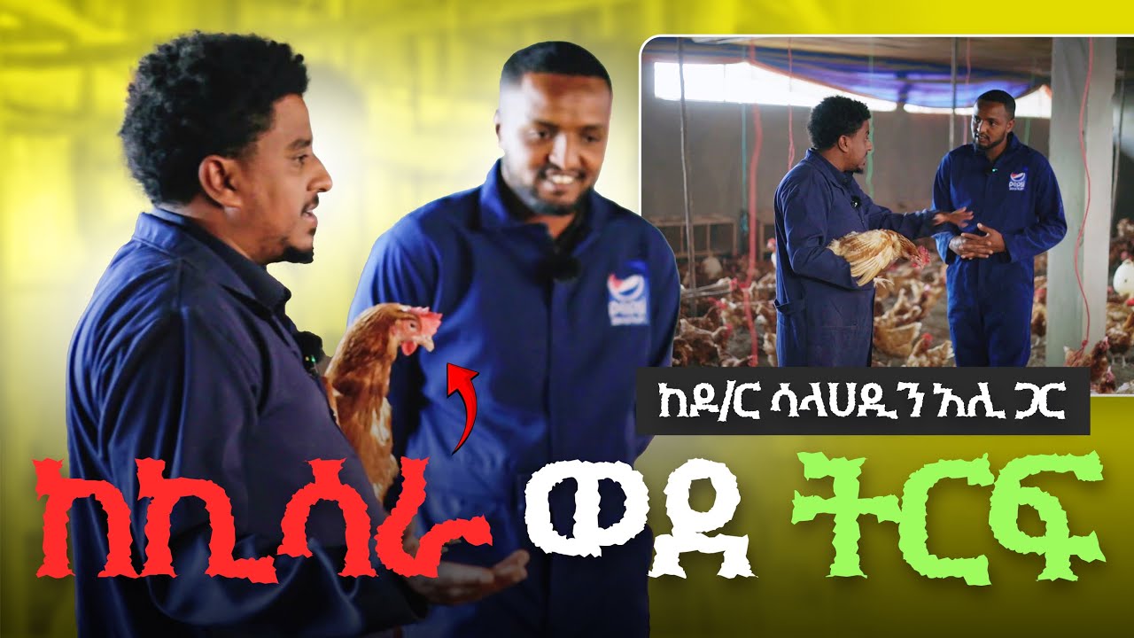 በዶሮ እርባታ ከኪሳራ ወደ ትርፍ በሳምንት ውስጥ ብቻ | ከዶ/ር ሳላሀዲን አሊ ጋር