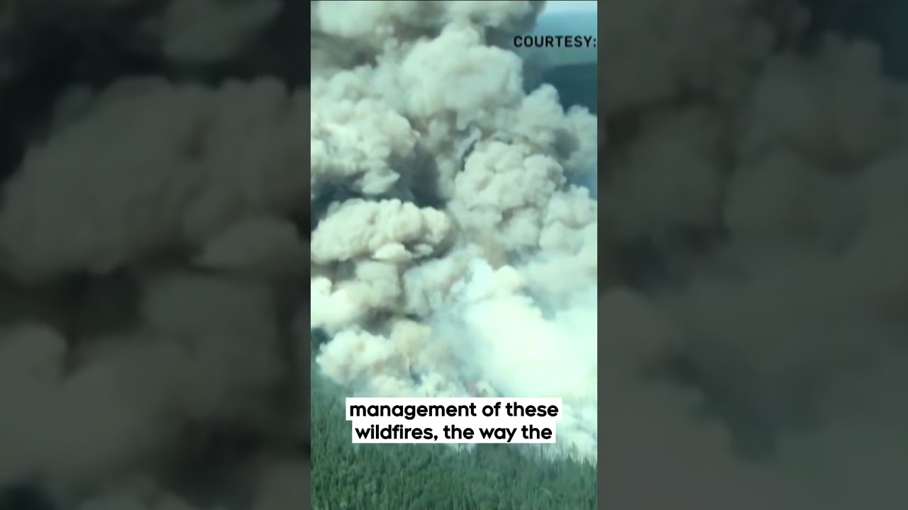 Ontario Defends Its Record on Devastating Fires | Your Morning