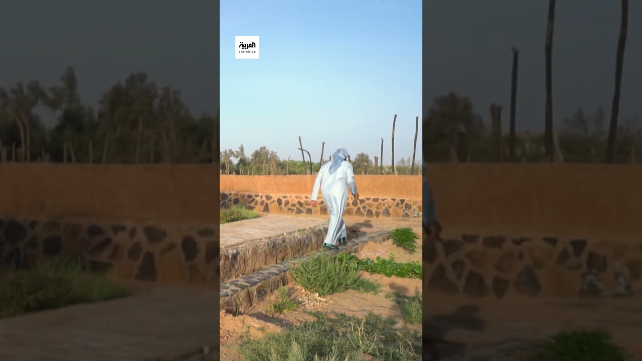 الزعاق | ابشروا : بقي 11 يوم على دخول موسم سهيل