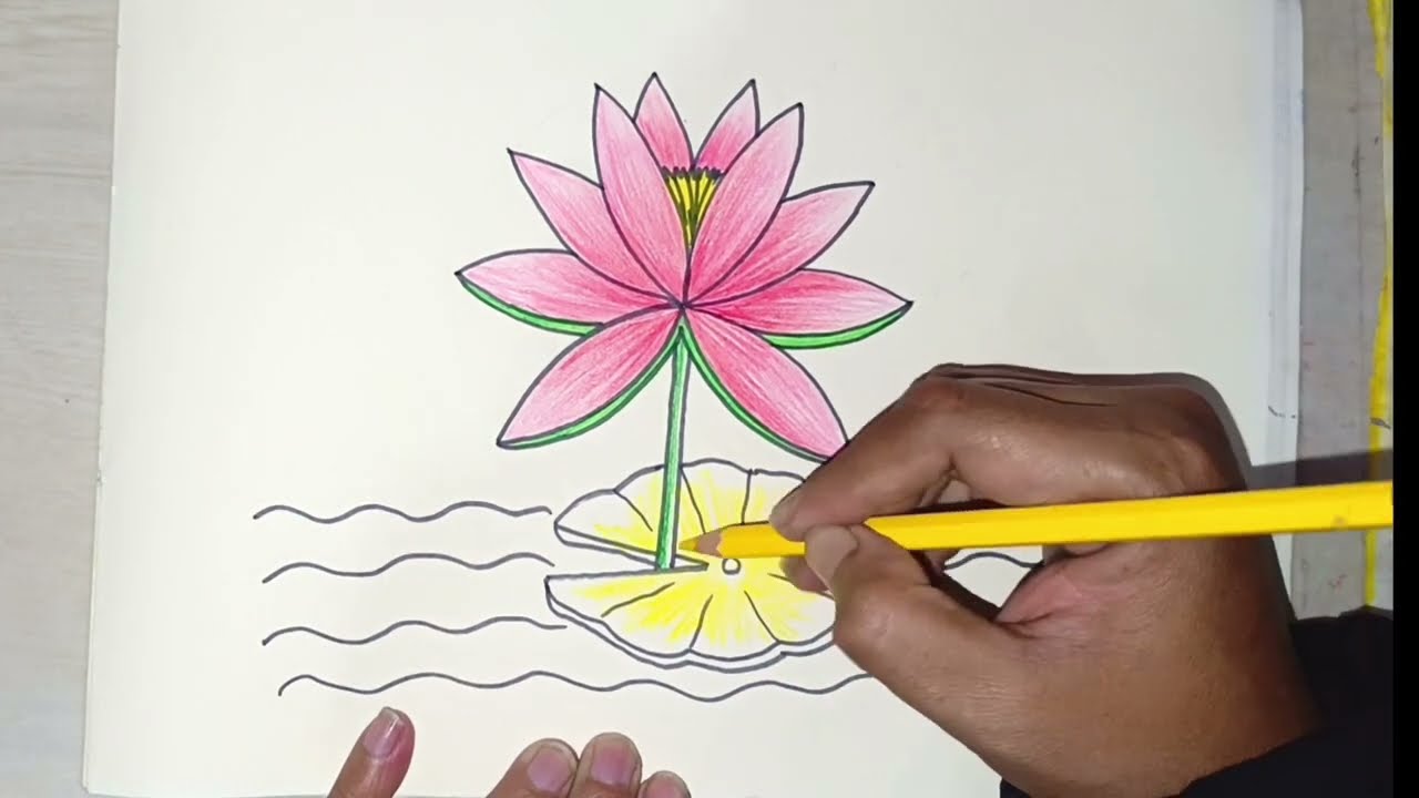 বৃত্ত দিয়ে খুব সহজে শাপলা আঁকা#art #easydrawing