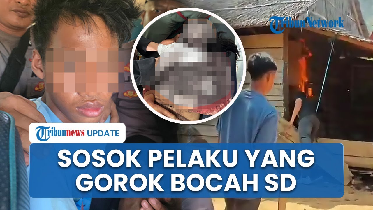 Terungkap Sosok Pelaku Pembunuhan yang Gorok Bocah di Koltim, Berprofesi sebagai Seorang Petani