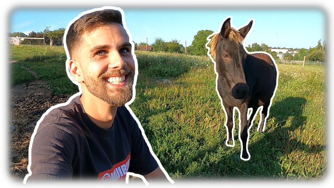 Landwirt Besuch, Kraichgau Tour, Gartenrundgang August Vorgarten, selbstgemachten Nektar kosten