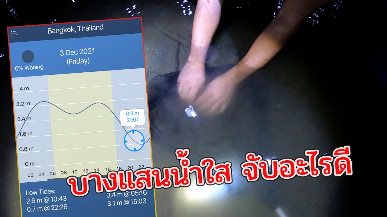 ห้ามตกปลา !!! บางแสน  ไม่ต้องตกก็ได้กินของแซ่บ ๆ   ก่อนสิ้นปี รีบไปนะจ๊ะ น้ำกำลังใส